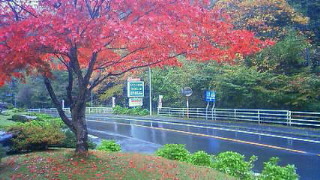 image/2011-10-30T19:07:37-3.jpg