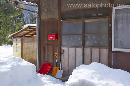 福井の雪景色