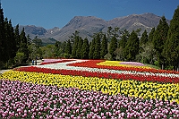 img20050428.jpg