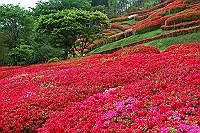 img20050430.jpg