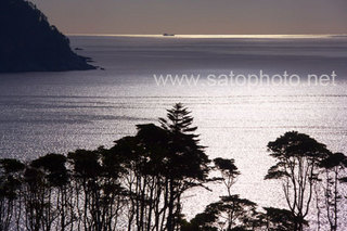 img20111226a.jpg