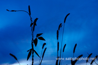 img20130914a.jpg