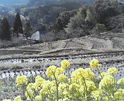 200803091023001.jpg