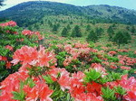 200906262146000.jpg