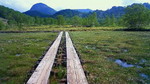 201006172020001.jpg